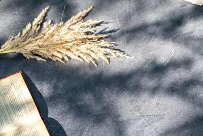 "Канны" лаунж-зона 4-местная из роупа со столом "Верона" (серый гранит), каркас алюминиевый коричневый, роуп коричневый